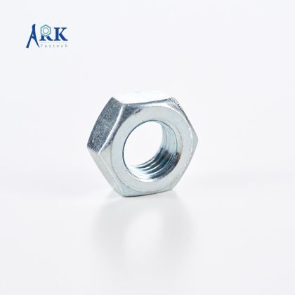 Hex Nut